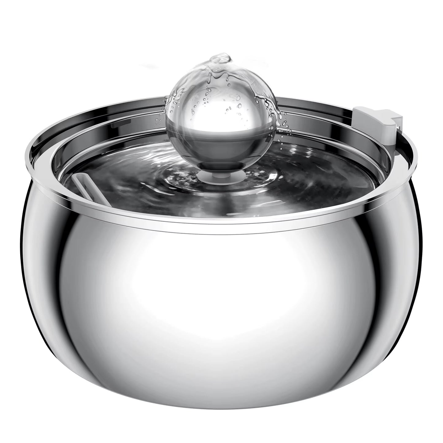 Stainless steel spherical pet water fountain with glass dome lid and water circulation system.