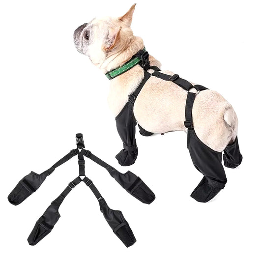 Tan and white dog wearing black waterproof boots on all four paws with green collar, shown with individual boot details.