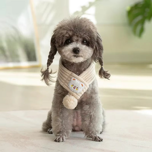 Gray and white Shih Tzu wearing a striped knit scarf with pompom sitting indoors.